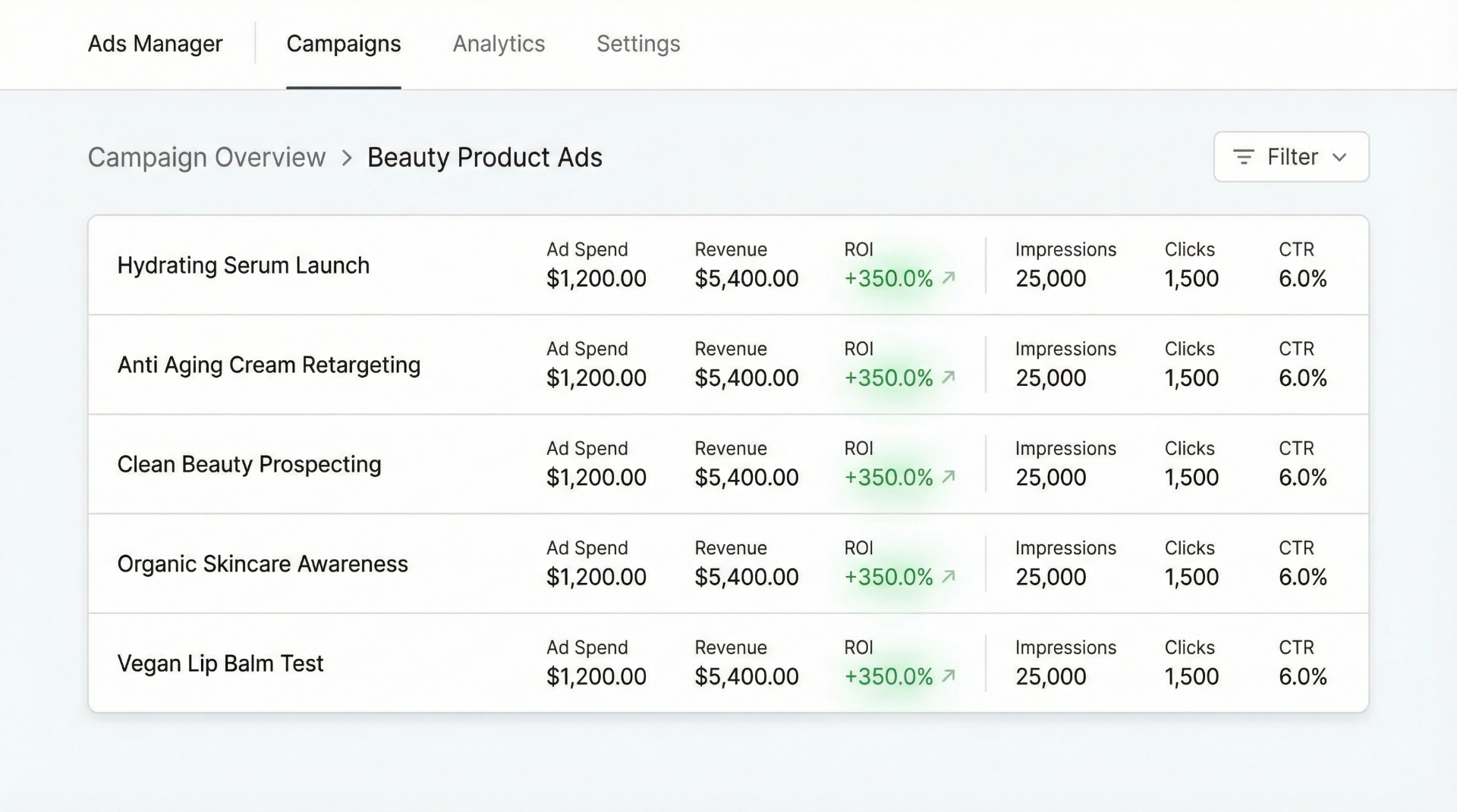Ecommerce analytics dashboard showing campaign performance metrics